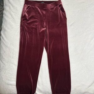NWT LOFT Bold Bordeaux Velvet Pull On Slim Pants